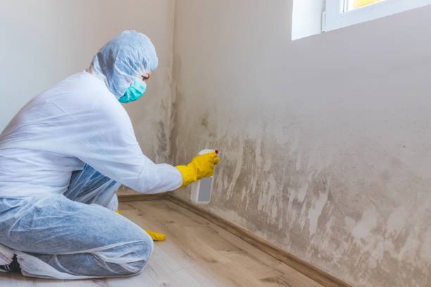 Hvac And Air Duct Mold Remediation inspection of HVAC system in Greenbelt