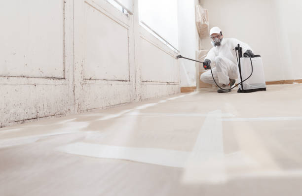 Black mold remediation team in Greenbelt